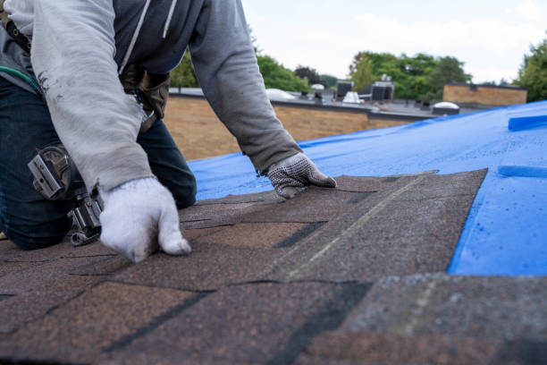 Best Commercial Roofing Services  in Highfill, AR